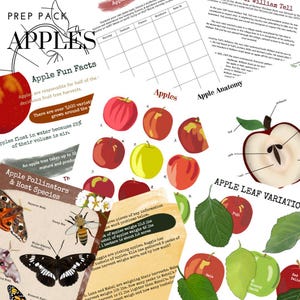 May include: A colourful educational printable pack about apples. The pack includes fun facts about apples, apple anatomy, apple leaf variations, and apple pollinators. The pack also includes a table for comparing different apple varieties.