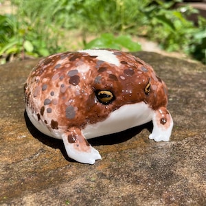May include: A ceramic frog figurine with a brown and white spotted pattern. The frog has yellow eyes and white feet. The figurine is sitting on a stone surface, with green foliage in the background.