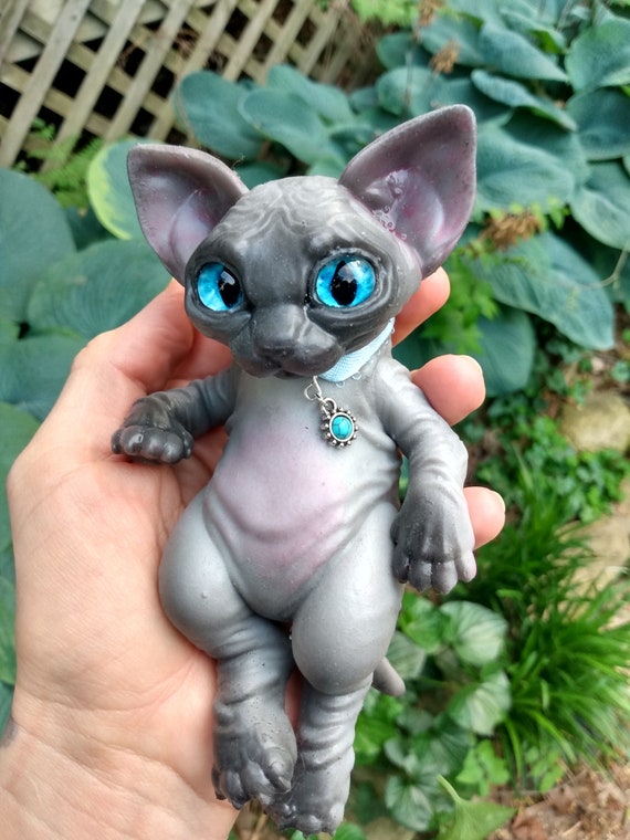 Psychic Sphynx Eyed Cat Kitten Variant