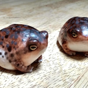 May include: Two small ceramic frog figurines with brown and white speckled paint. The frogs have a rounded body shape and are sitting on a wooden surface.