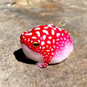 May include: A whimsical, handcrafted frog figurine. The frog features a vibrant red body with white spots, transitioning to a soft pink and white belly. It has golden eyes and is posed on a textured surface, showcasing its unique design.
