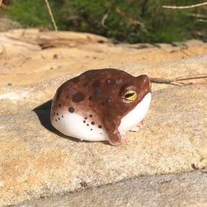 May include: A ceramic frog figurine with a brown and white spotted pattern. The frog has yellow eyes and is sitting on a light brown rock. The figurine is a whimsical decorative item.