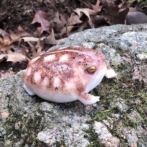 May include: A white ceramic frog figurine with brown and white spots. The frog has a yellow eye and is sitting on a rock covered in moss.