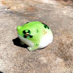 SHAMROCK Squishy Silicone  Desert Rain Frog stress buddy