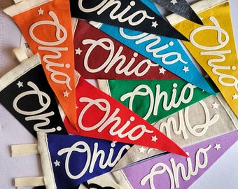 Ohio Mini Felt Pennants