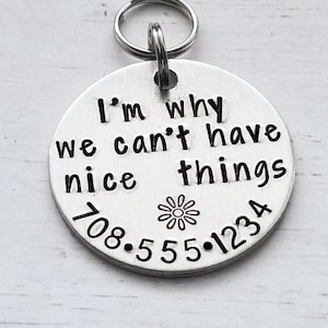 Dog Name Tag, Pet ID Tag, Dog Tag for Dogs, Dog ID Tag, Dog Tag for Collar, ID Tag for Dogs, I'm Why We Can't Have Nice Things, Hand Stamped