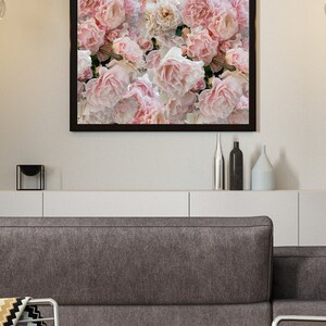 Pink Roses Overlay I Photography Collage I Nature I Botanic - Etsy