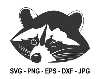 Download Raccoon Svg Etsy