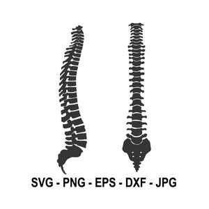 Human Spine svg,Spine svg,Cut File circut,silhouette cameo,Instant Download,SVG, PNG, EPS, dxf, jpg digital download