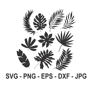 Tropical Leaf svg,Leaves Bundle svg,Instant,Dark silhouette,Instant Download,SVG, PNG, EPS, dxf, jpg digital download