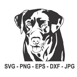 Labrador svg,Labrador Silhouette,Dog svg,Instant Download,SVG, PNG, EPS, dxf, jpg digital download