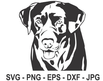 Download Labrador Svg Etsy
