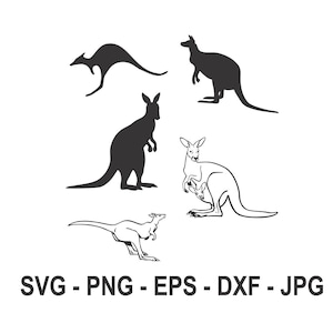 May include: Four black and white silhouette images of kangaroos in various poses. The text "SVG - PNG - EPS - DXF - JPG" is below the images.