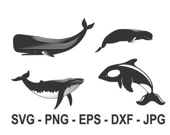 Whale svg,Orca Whale svg,Whales Bundle svg,Instant Download,SVG, PNG, EPS, dxf, jpg descarga digital
