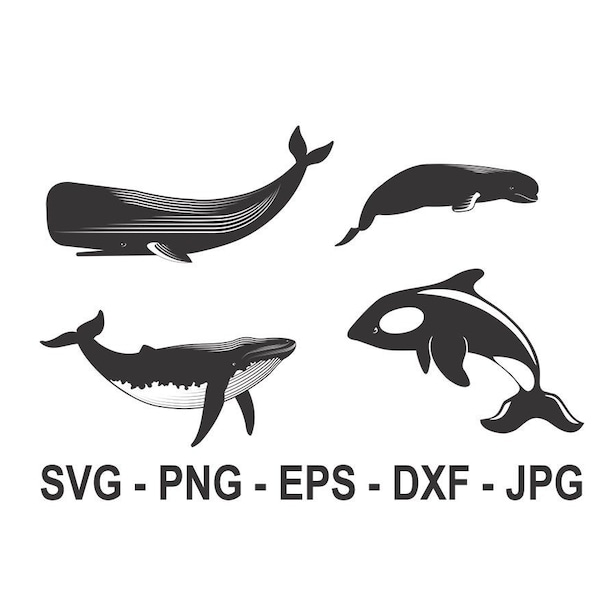 Whale svg,Orca Whale svg,Whales Bundle svg,Instant Download,SVG, PNG, EPS, dxf, jpg digital download