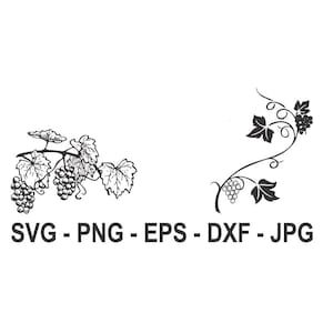 Grapevine svg,Grape svg,Vine svg,Wine svg,Instant Download,SVG, PNG, EPS, dxf, jpg digital download
