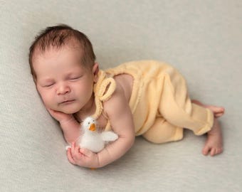Newborn Photo Prop Goose, Knit Gosling Toy, Baby Photography Prop, Tiny Stuffed Goose Accessory