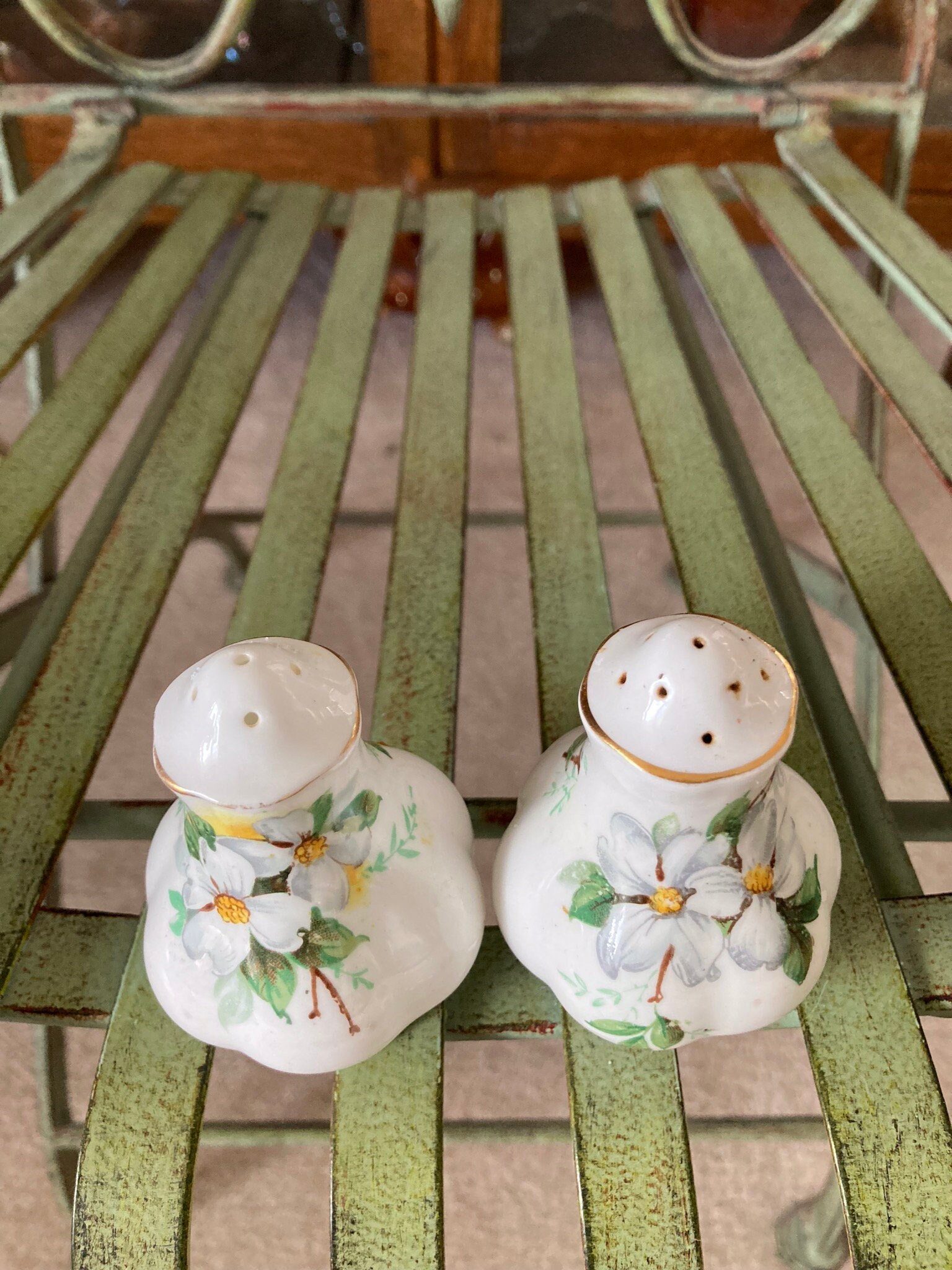 Royal Albert White Dogwood Salt and Pepper Shakers. 3.25 Inches