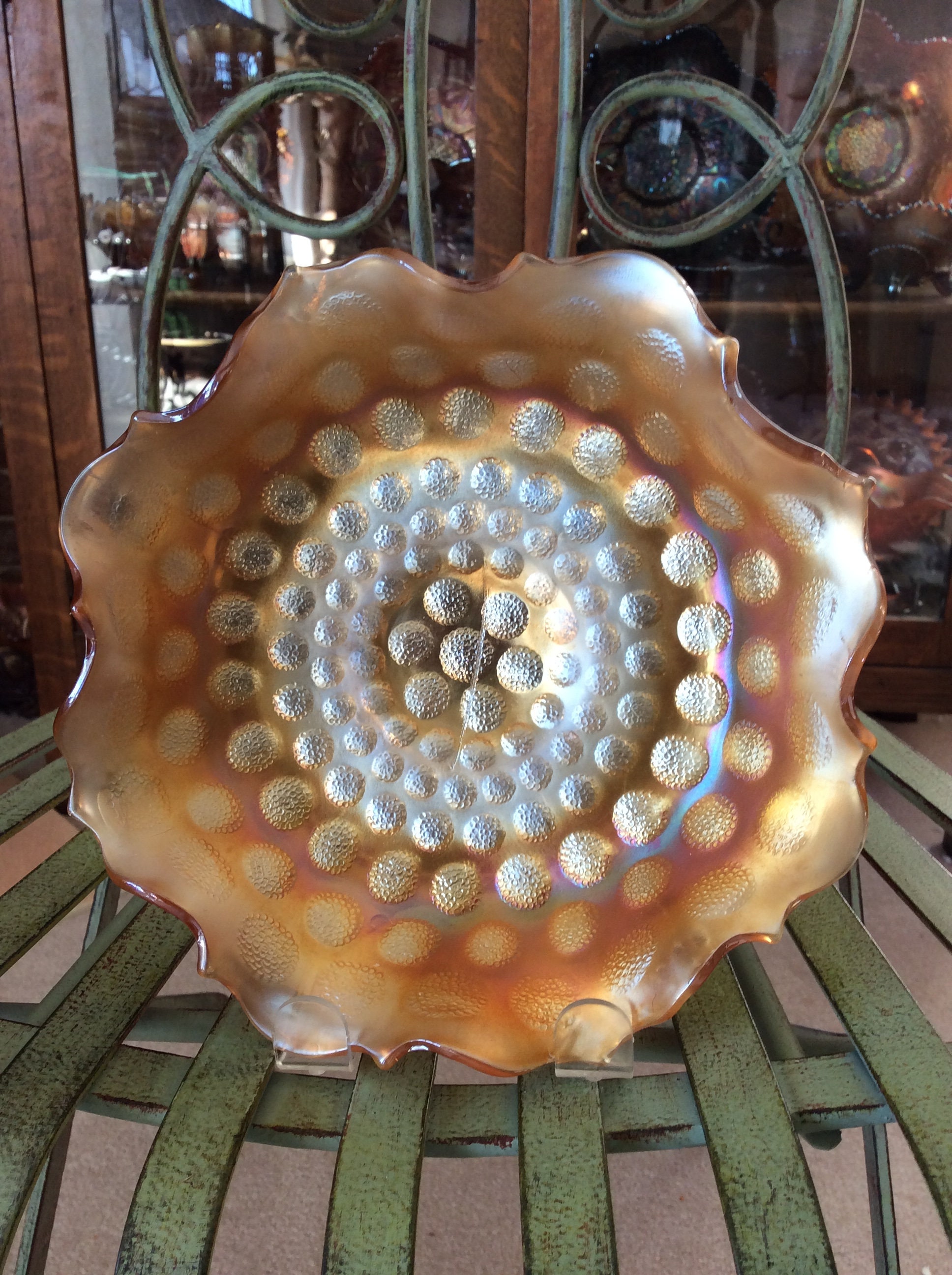 オッフェン ポインテッド Offen　scallop pattern 40 Bouquet of Fossilized Giant Scallop Shells | History of