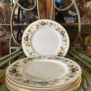Royal Doulton Larchmont  Bread and Butter Plates. Set of 6.  6.5 inches diameter. Produced in England 1964 to 1997.