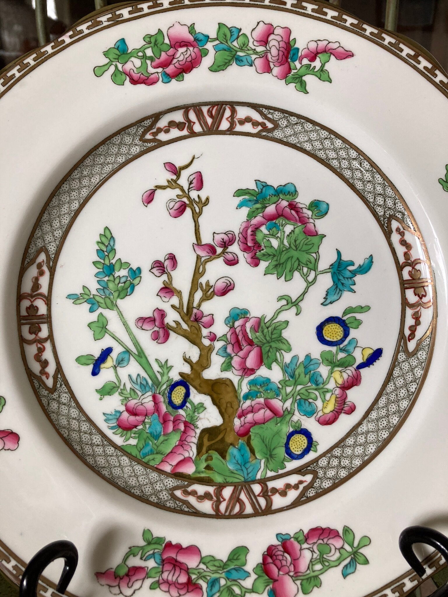 Coalport Indian Tree Dinner Plates With Tabs. Set of 2. 10.5 Etsy