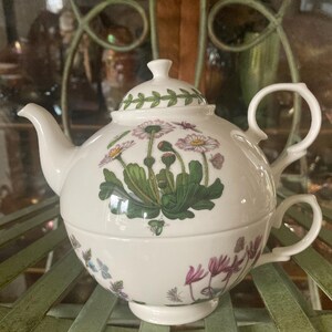 Portmeirion Botanic Garden  Tea for One. Teapot and Cup.   6 inches wide. Daisy.    First Produced 1972.