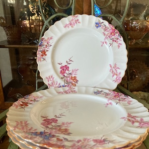 Spode Chelsea Garden Dinner Set of Inches Diameter