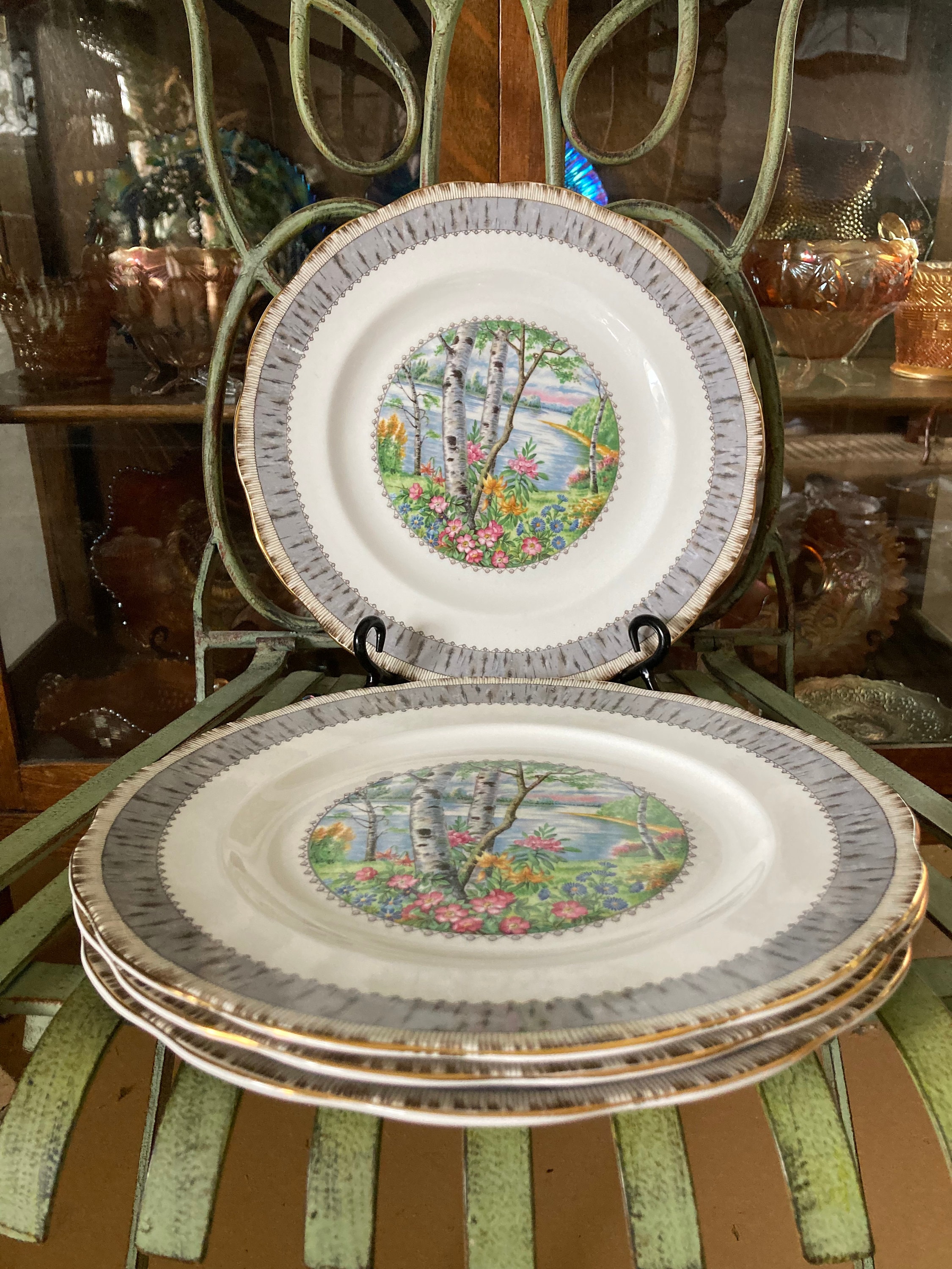 Royal Albert Silver Birch Dinner Plates. Set of 4. 10.5 Inches