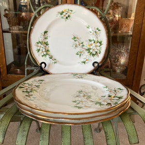 May include: Three white ceramic dinner plates with a gold rim and a floral design of white flowers and green leaves.