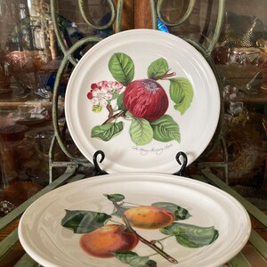 Portmeirion Pomona Dinner Plates. Set of 2. 10.5 Inches Diameter