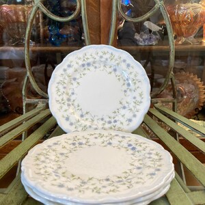 Royal Albert Caroline - Etsy