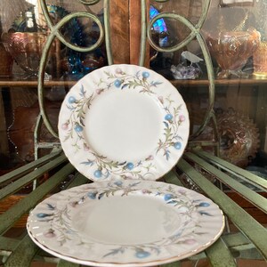 Royal Albert Brigadoon Dessert Plates. Set of 2. 7 inches diameter . Produced in England 1963 to 2001.