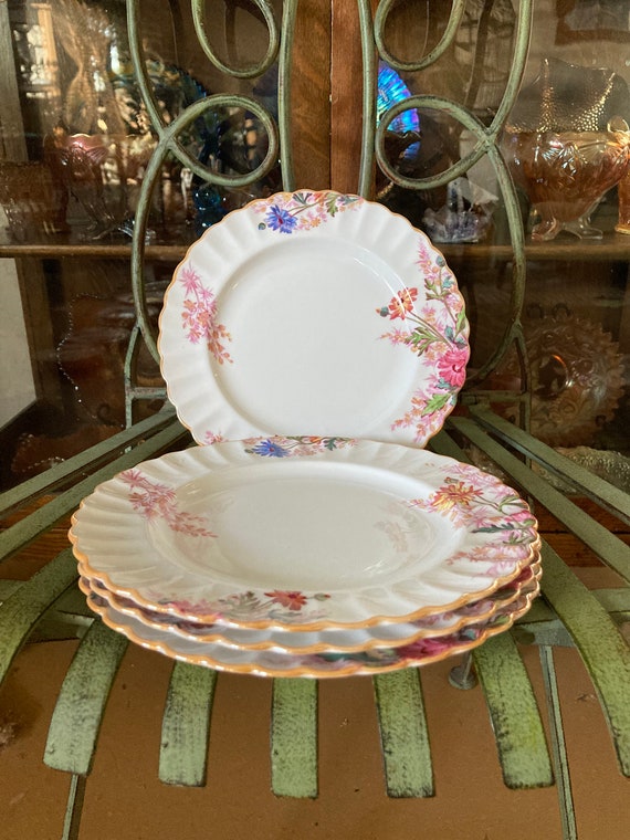 Spode Chelsea Garden Salad Plates. Set of 4. 8 Inches Diameter