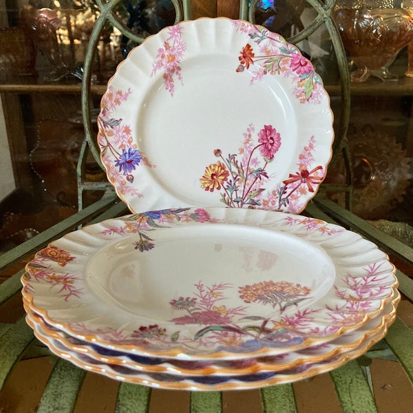 Spode Chelsea Garden Luncheon Plates, Set of 4. 9.25 inches diameter. Produced in England 1952 to 1988.