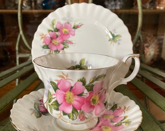 SALE 1981 Royal Albert Autumn Rose Teacup/dessert Plate - Etsy Canada