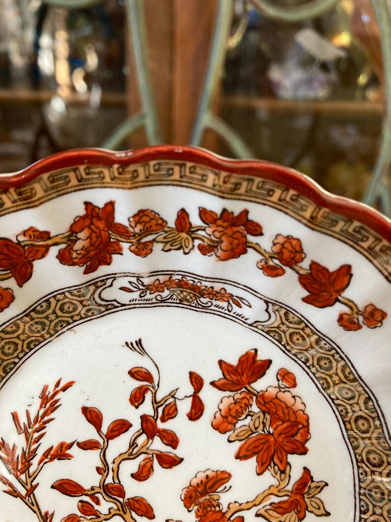 Spode India Tree Fruit Nappies. Set of 4. 5.25 Inches Diameter