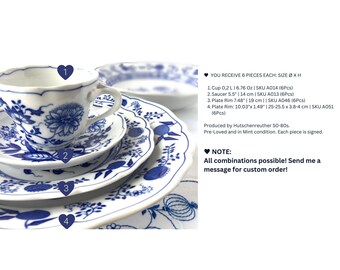 ブルーオニオンディナーウェア |磁器皿 | 6人用 |フッチェンロイター