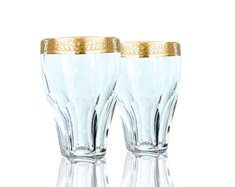 Crystal Water Glasses | 6Pcs | Lady Hamilton Moser, Oertel