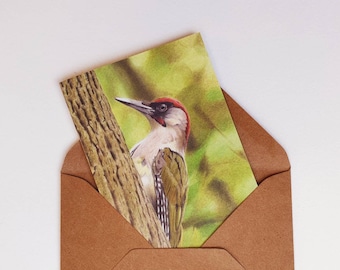 Green woodpecker, print of a coloured pencil drawing, double card with envelope