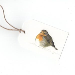 Robin, set di 6 etichette regalo, stampa di disegno a matita colorata
