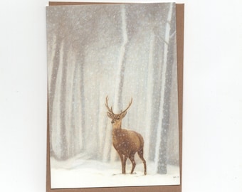 Edelhert in de sneeuw, dubbele kaart met envelop, print van kleurpotloodtekening