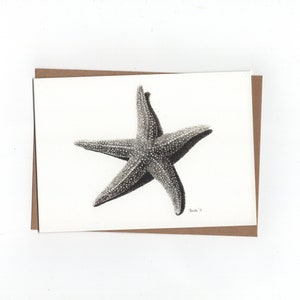 Zeester, print van pentekening, dubbele kaart met envelop