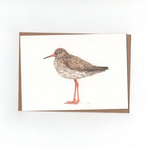 Tureluur, gevouwen kaart met envelop, print van kleurpotloodtekening