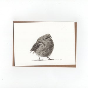 Jong roodborstje, gevouwen kaart met envelop, print van pentekening