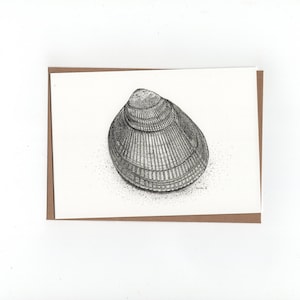 Noorse hartschelp, gevouwen kaart met envelop, print van pentekening
