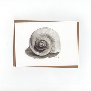 Schelp, tepelhoorn, print van pentekening, dubbele kaart met envelop