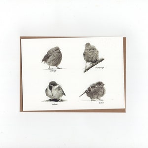 4 jonge vogeltjes, dubbele kaart met envelop, print van pentekeningen