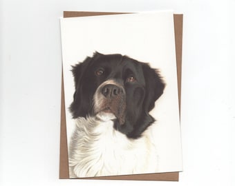 Frisian Pointer, dog, folded card with envelope, print of colouredpencildrawing