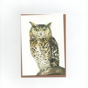 Oehoe, gevouwen kaart met envelop, uil, print van kleurpotloodtekening