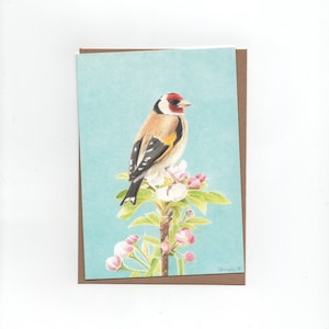 Puttertje, distelvink, print van kleurpotloodtekening, gevouwen kaart met envelop